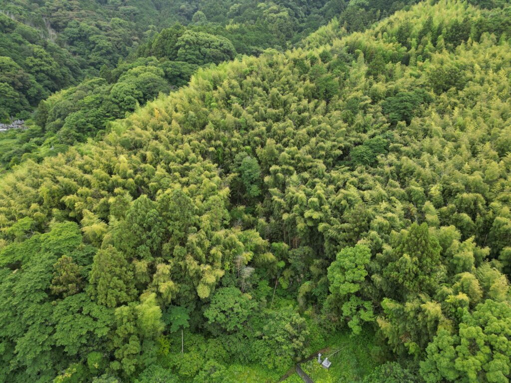 高知県の長年管理されていない山林を上空から撮影した写真。竹や樹木が繁茂しており、相続前の現況確認の重要性を示している。