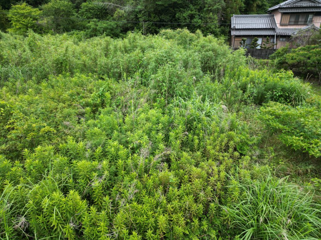 南国市の非農地通知書が農業委員会から届いた土地