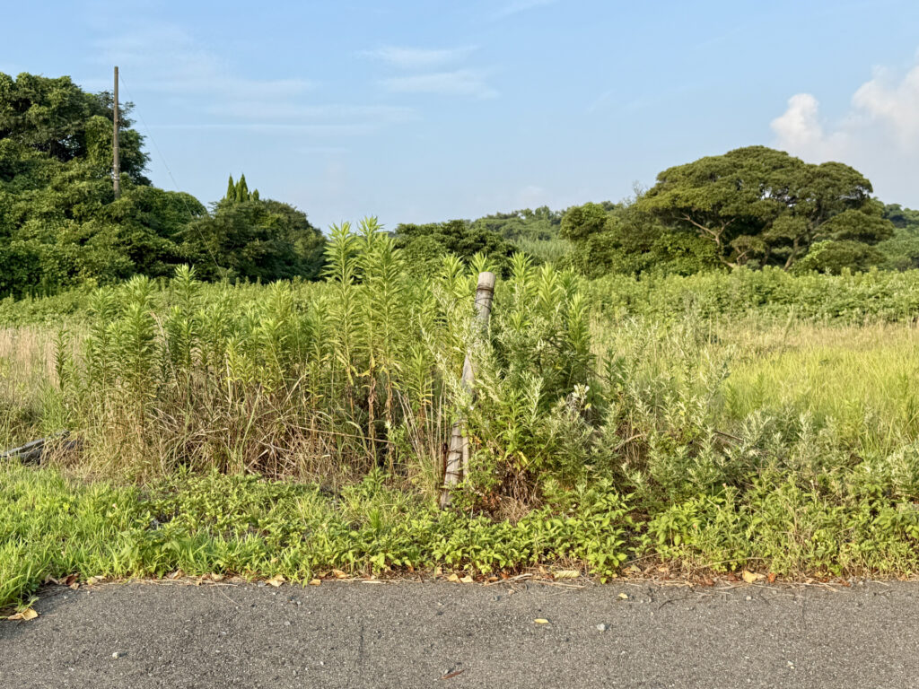 建物滅失登記できていない土地のイメージ