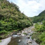1円山林・高知市土佐山弘瀬
