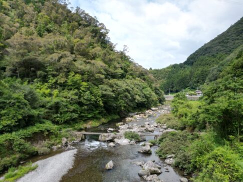 1円山林・高知市土佐山弘瀬