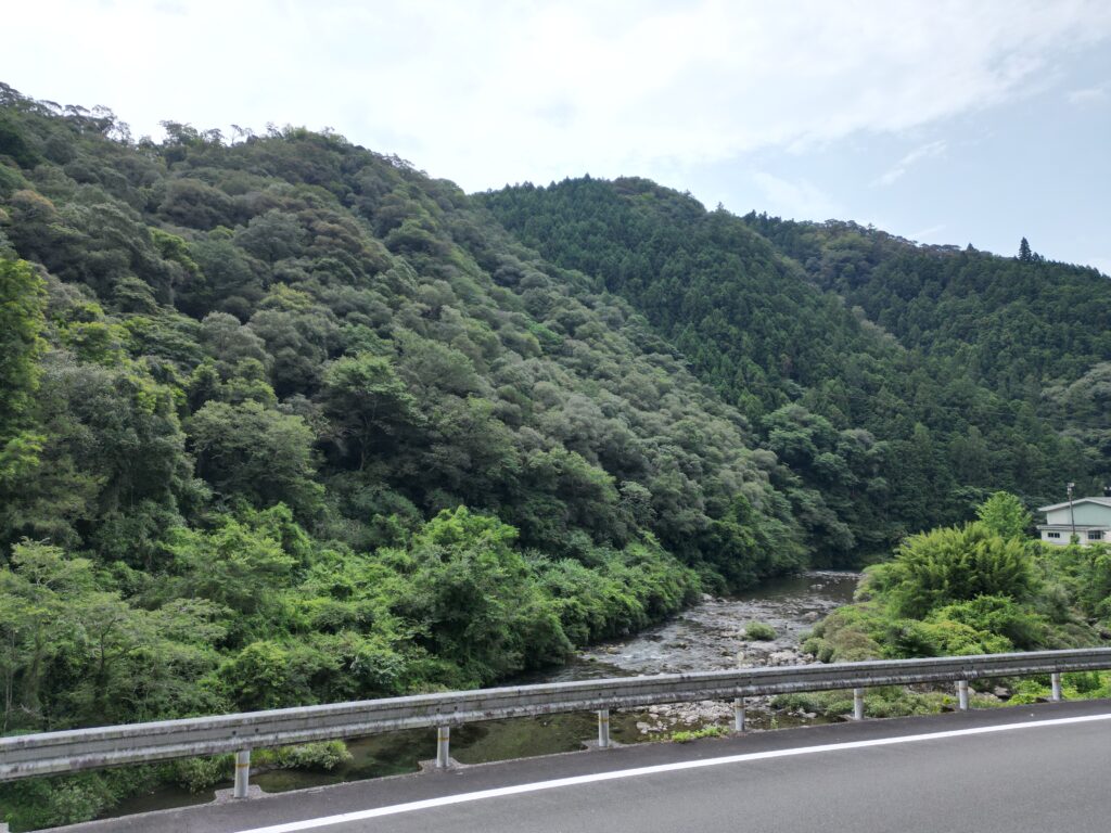 1円山林・高知市土佐山弘瀬