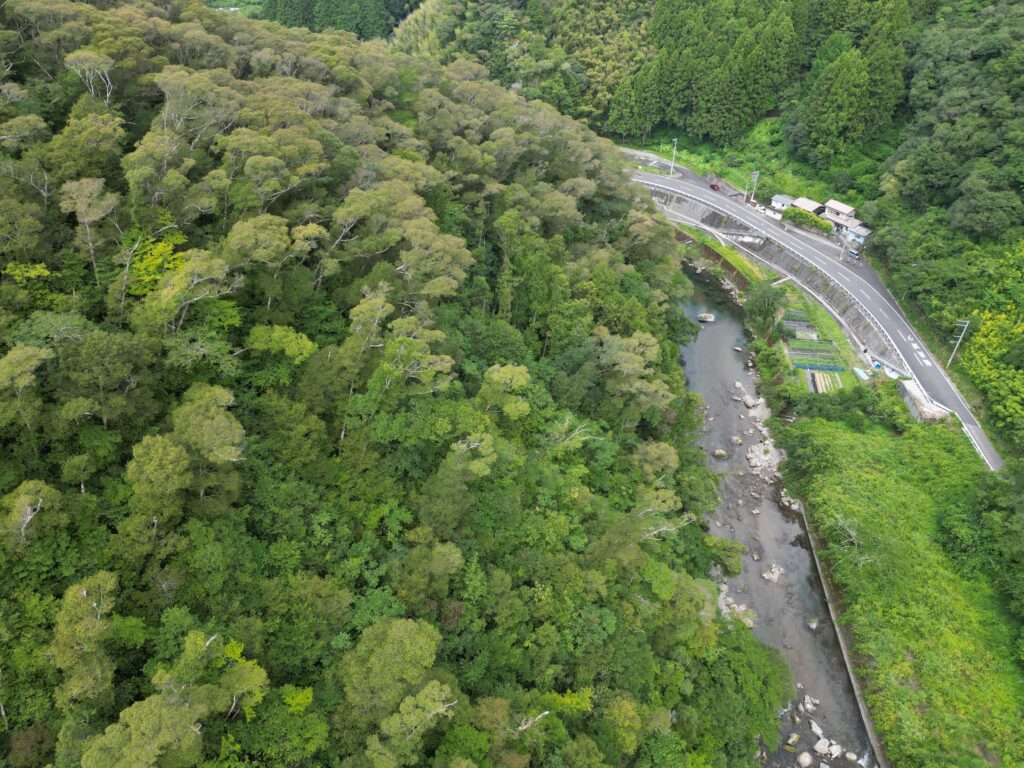 1円山林・高知市土佐山弘瀬