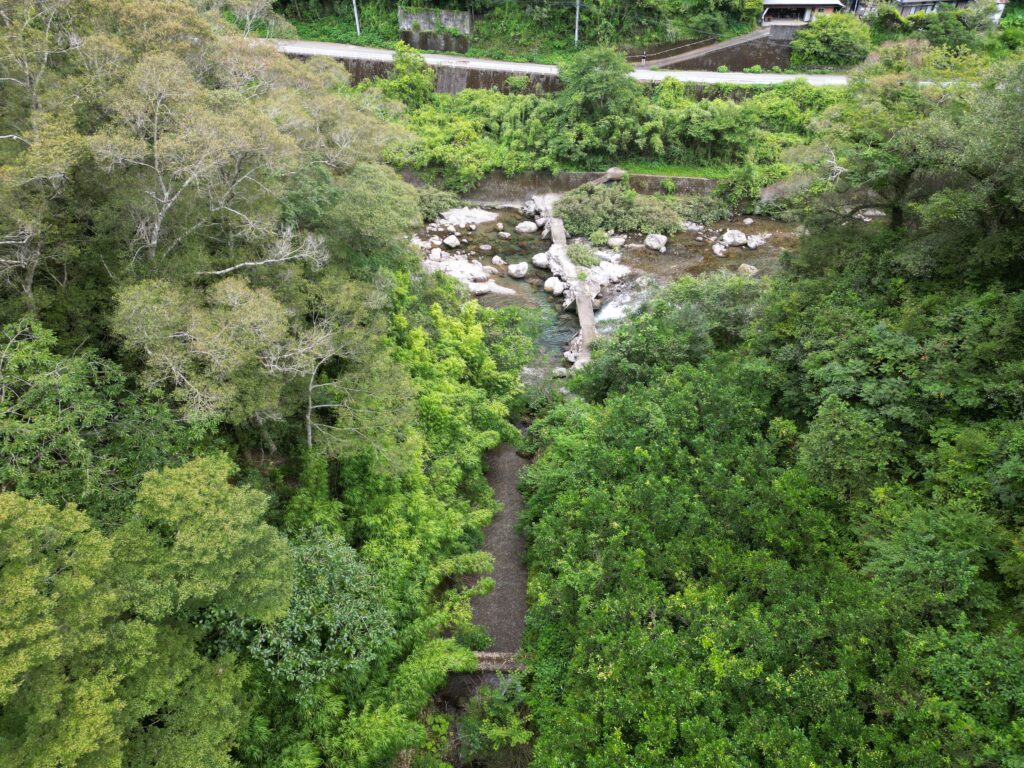 1円山林・高知市土佐山弘瀬
