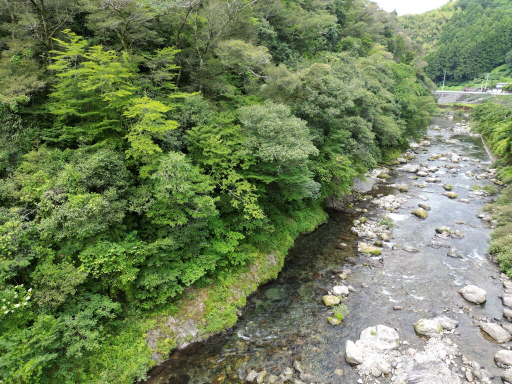1円山林・高知市土佐山弘瀬