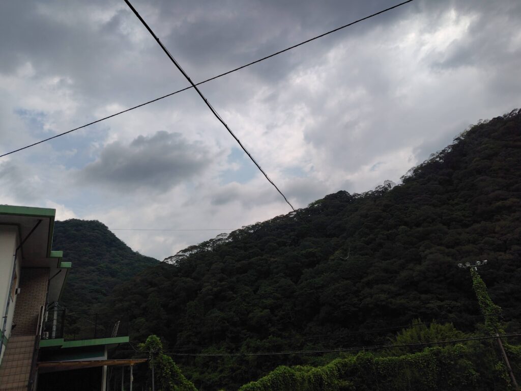 1円山林・高知市土佐山弘瀬
