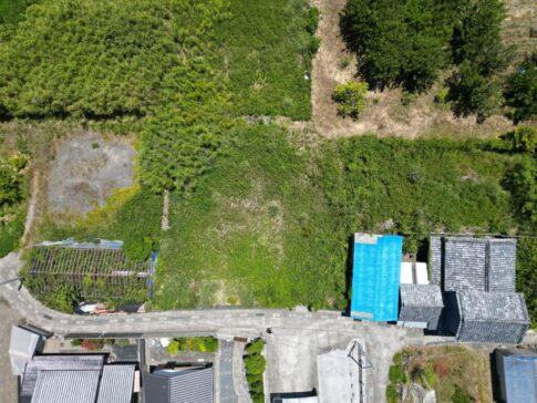 1円土地・室戸市羽根町乙