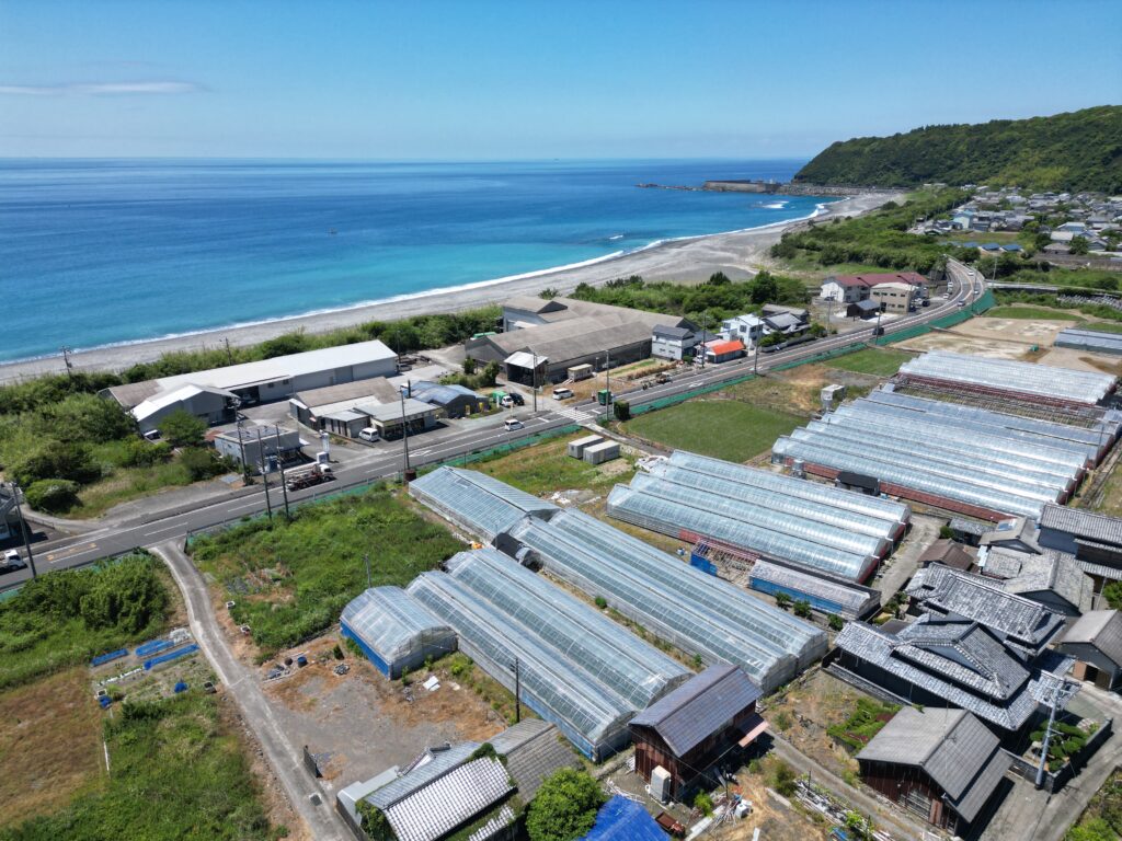 1円土地・室戸市羽根町乙
