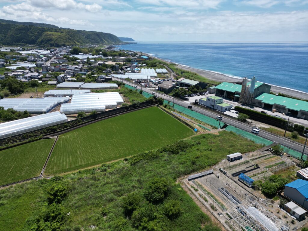 1円土地・室戸市羽根町乙