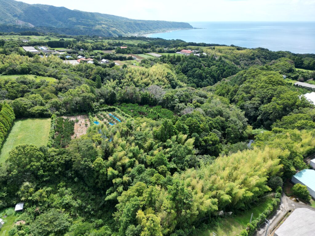 室戸市吉良川町乙のドローン空撮写真