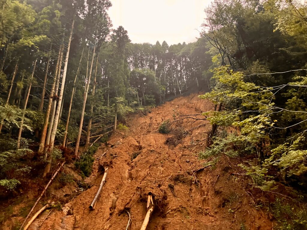 土砂災害特別警戒区域(レッドゾーン)などの法令上の制限がある土地のイメージ