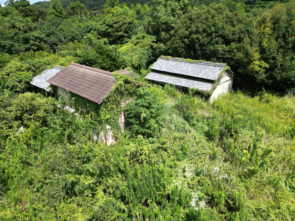 長年放置され草木に覆われた老朽空き家