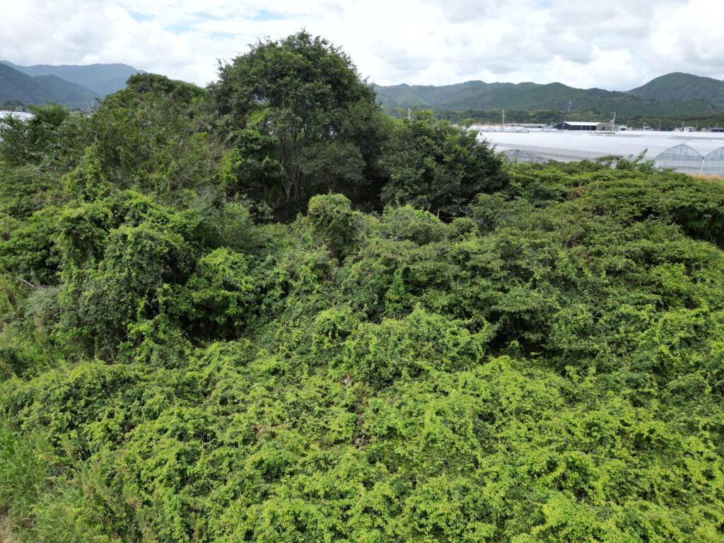 高知県内の山林と相続土地国庫帰属制度の負担金のイメージ