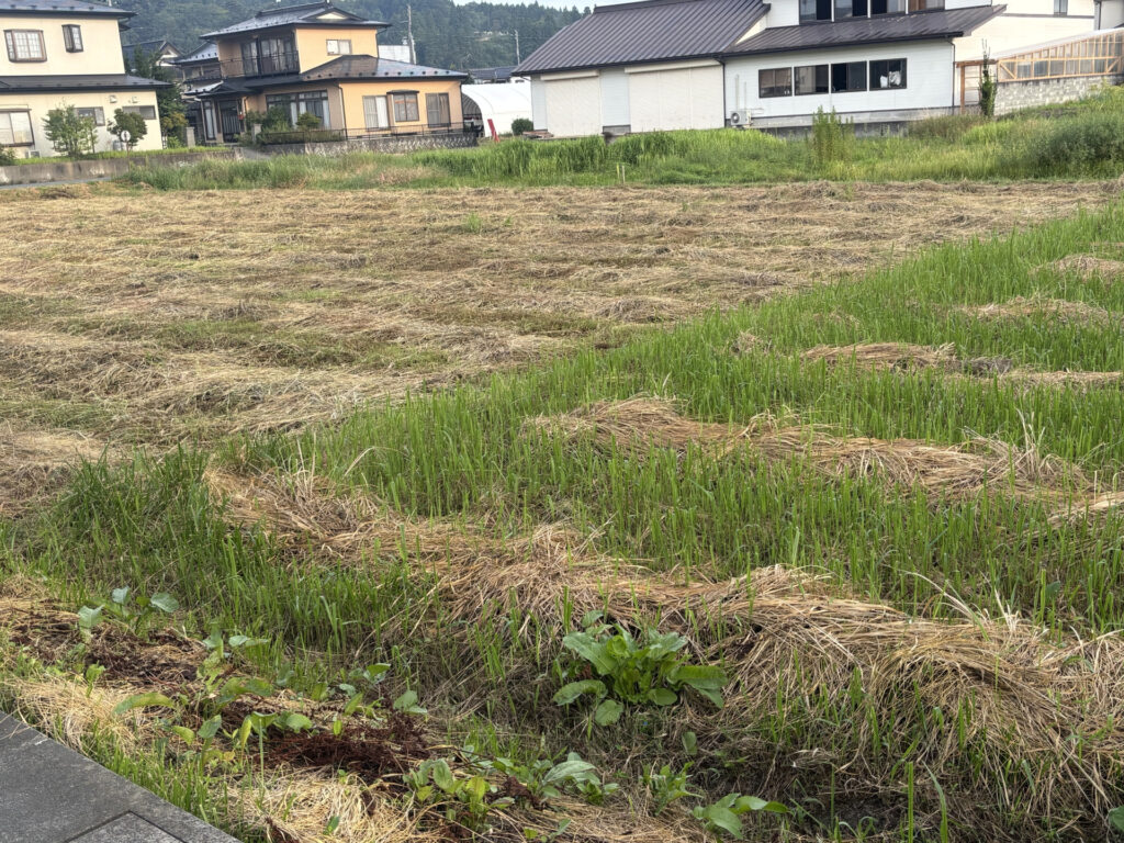 住宅地に残る使われていない土地