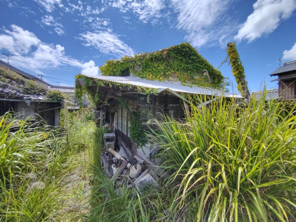 草木に覆われ、長期間使われていない建物